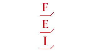 FEI_logo_resized